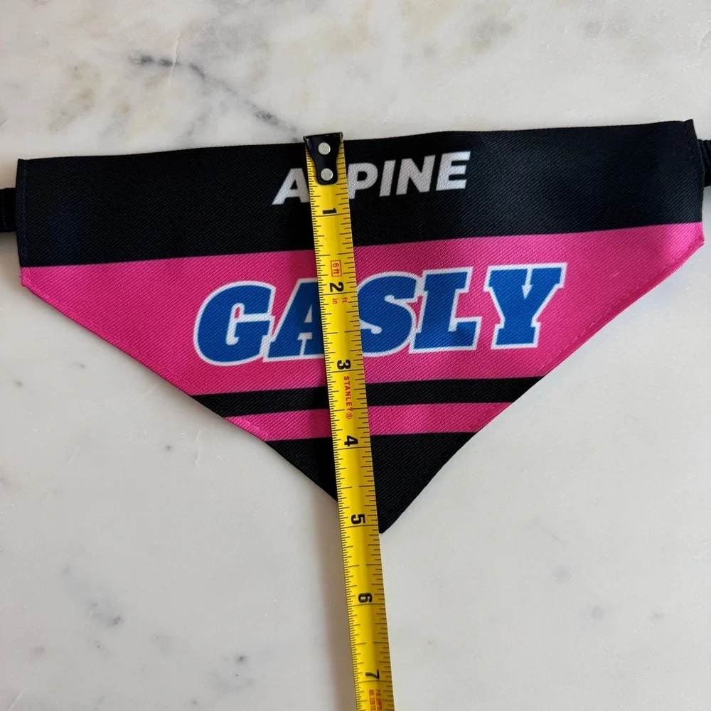 Pierre Gasly F1 Dog Bandana Medium - Formula 1 Dog Collar
